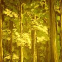 Wald -Acryl-